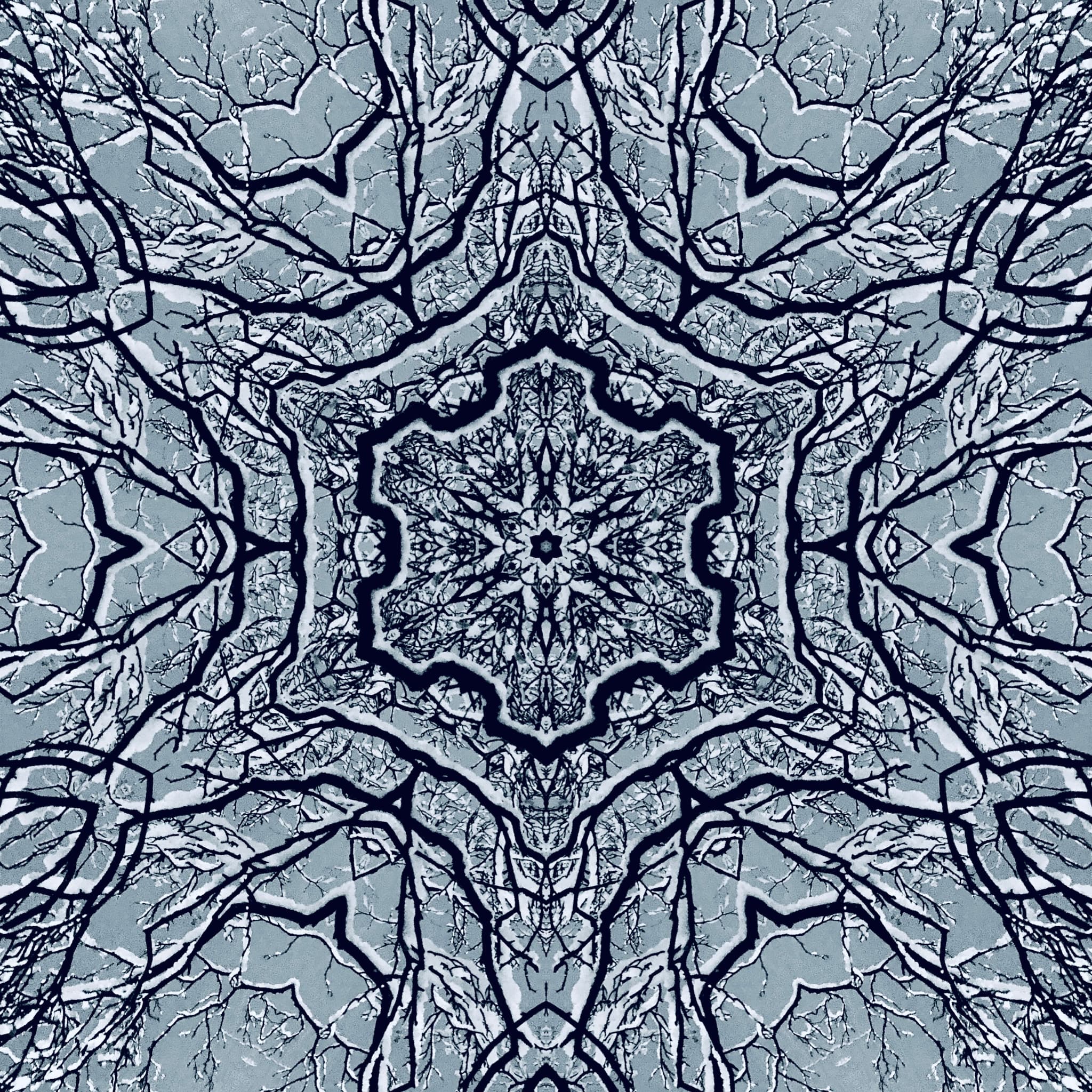 SNOW SYMMETRY