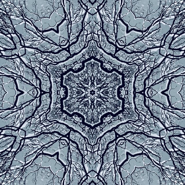 SNOW SYMMETRY