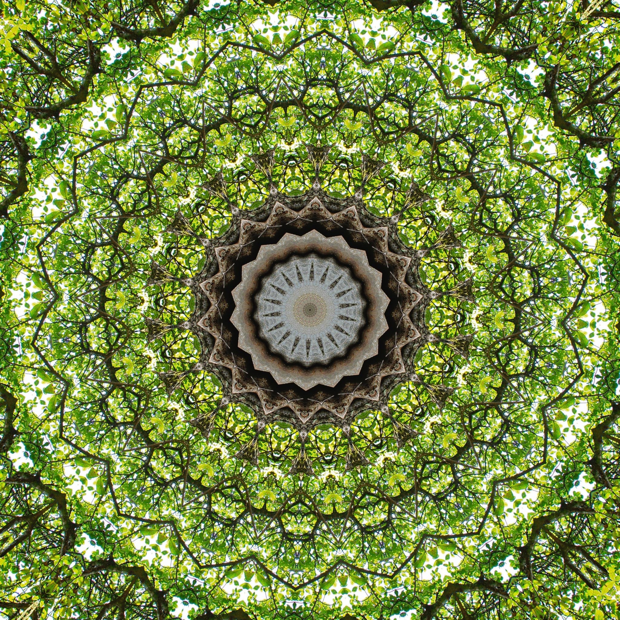 GREEN SYMMETREE MANDALA