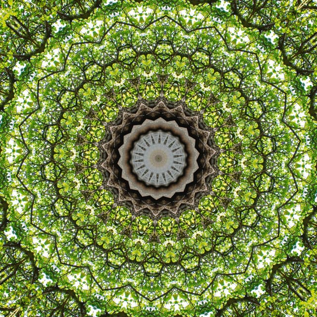 GREEN SYMMETREE MANDALA