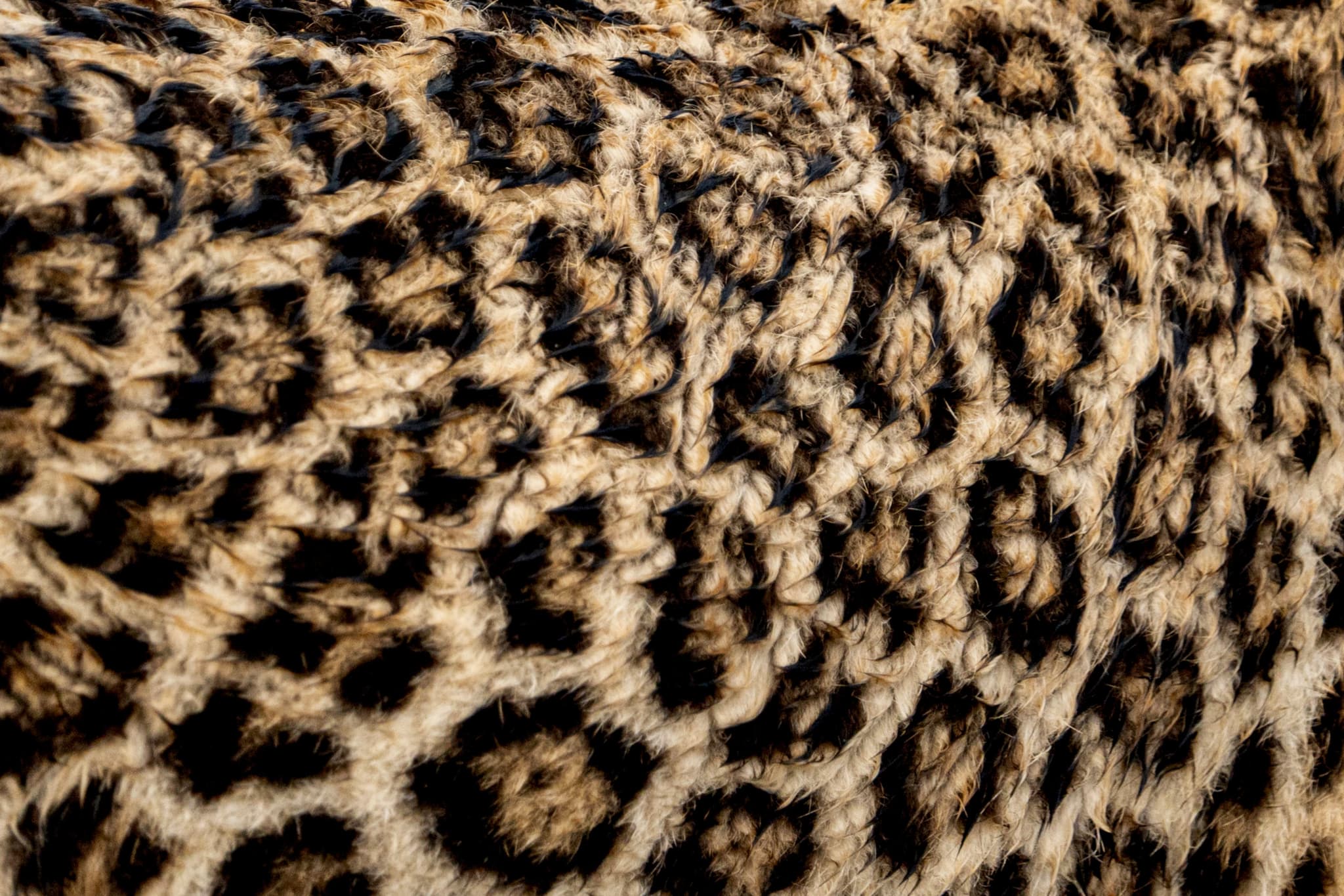 LEOPARD SKIN