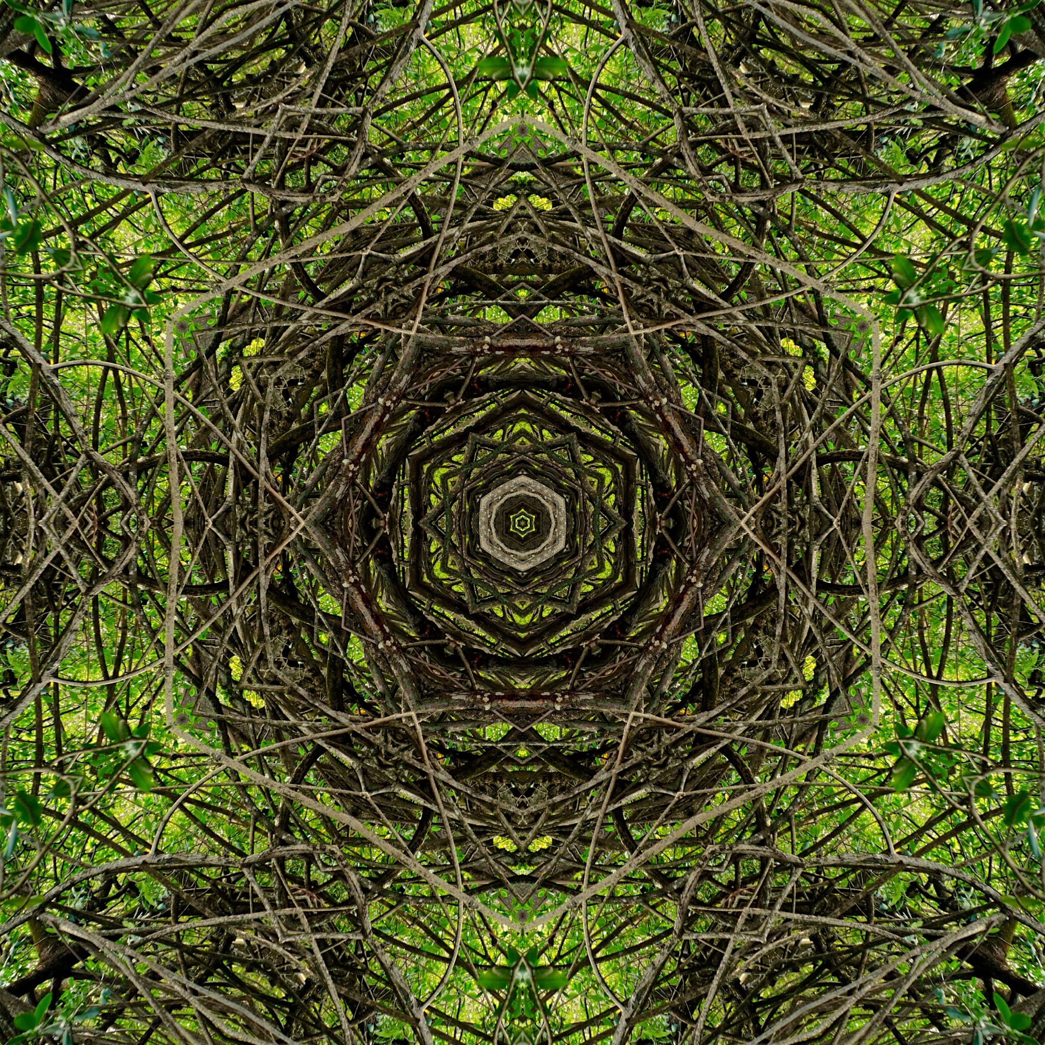 GREEN HEX SYMMETRY