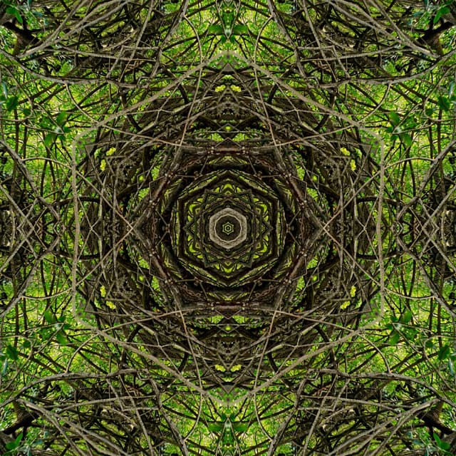 GREEN HEX SYMMETRY